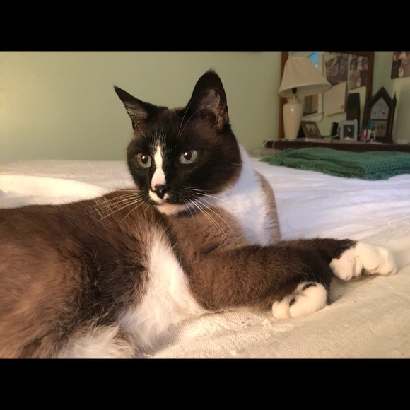cleo123421